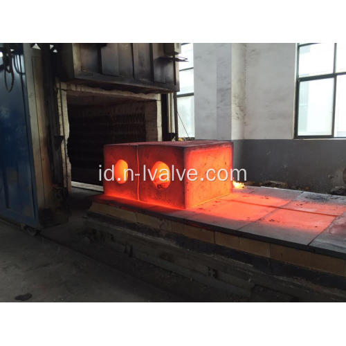 Valve Forging Components-Forging Body